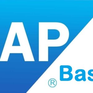SAP S4 Basis