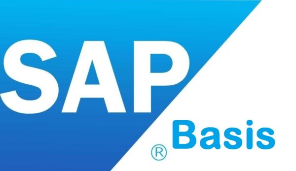 SAP S4 Basis